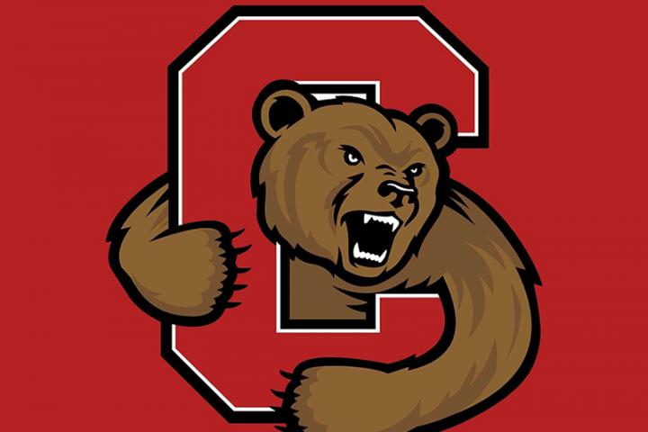 Cornell Sports Logo