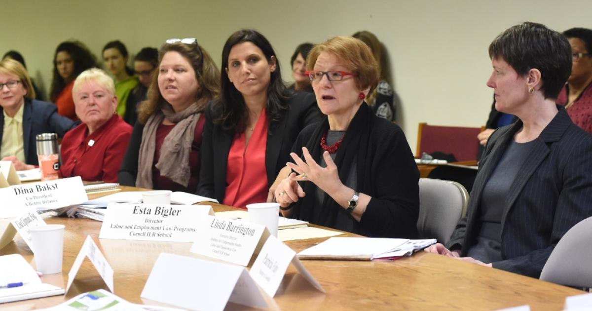 Barrington and Bigler speak before NYS Assembly Roundtable on Gender ...